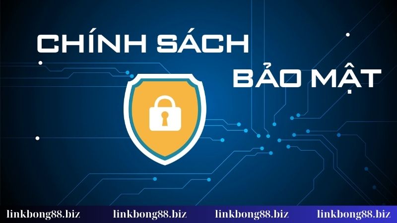 Chính sách bảo mật Bong88 - Minh bạch, rõ ràng khi cá cược 2 Người chơi có quyền và nghĩa vụ gì?